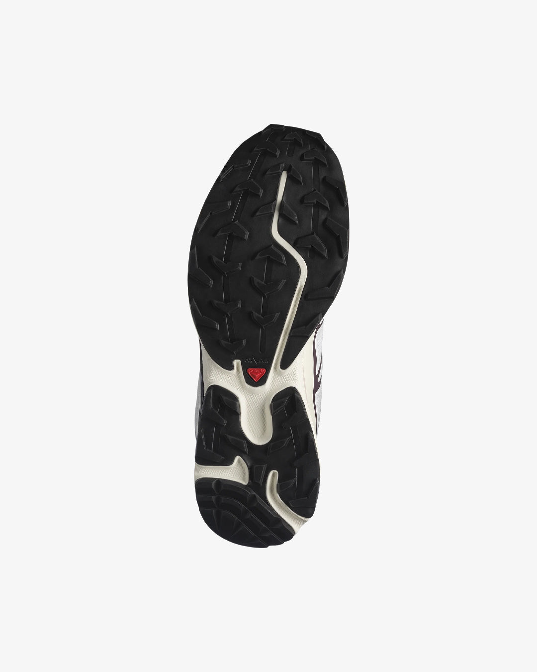 Salomon XT-6