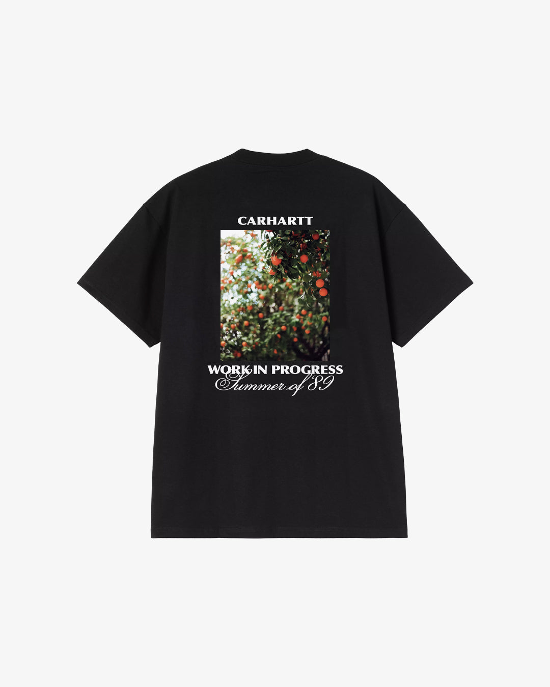 Carhartt WIP Warm Views Tee